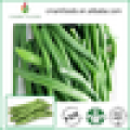 2015 Healthy bulk frozen fresh green beans for sale from China
